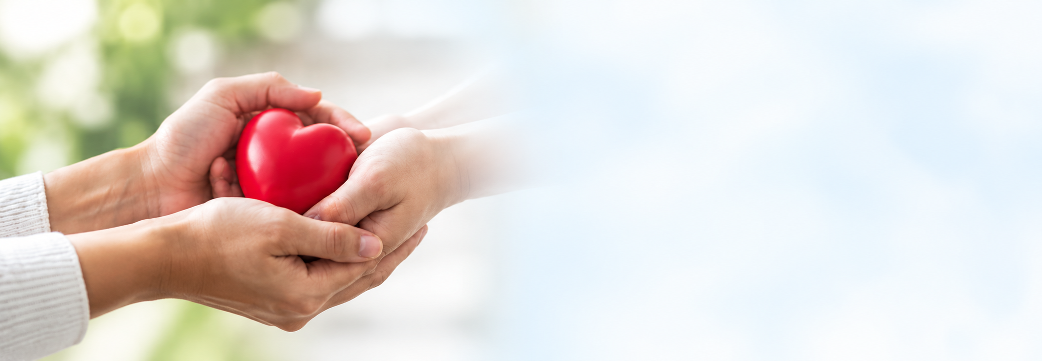 Donate to Support Legal Aid and Rehabilitation